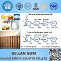 Gellan Gum used in Antwork