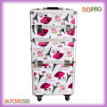 Large Volume 2 en 1 coiffeur professionnel Beauty Cases on Wheels (SATCMC025)