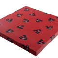 Hardboard Gift Packing Custom Luxury Box for Scarves