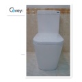 Washdown Ceramic Toilet с сертификацией Ce / Watermark (CVT6014)