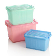 Fashionable Crystal Plastic Storage Box for Storage (SLSN049)