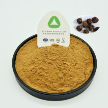 Aframomum Melegueta Extract Powder Natural Plant