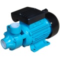 (QB60) High Quality Cast Iron Household Peripheral Water Pump