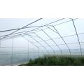 Film Span Span Greenhouse para vegetais