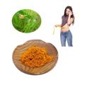 Hot Selling Cassia Nomame Extract Powder