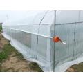 Film Single span greenhouse for vegetables