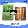 GA3 gibberellic acid powder growth growth régulator