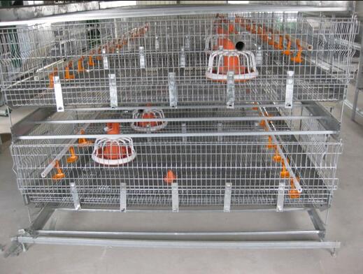 Stainless Steel Chicken Cages