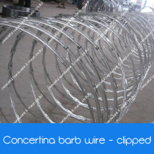 Sicherheit Concertina Razor Wire