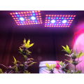 Best Grow Zelt LED Grow Light UV IR