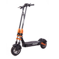 Leistungsstarker Offroad Electric Scooter 1000W