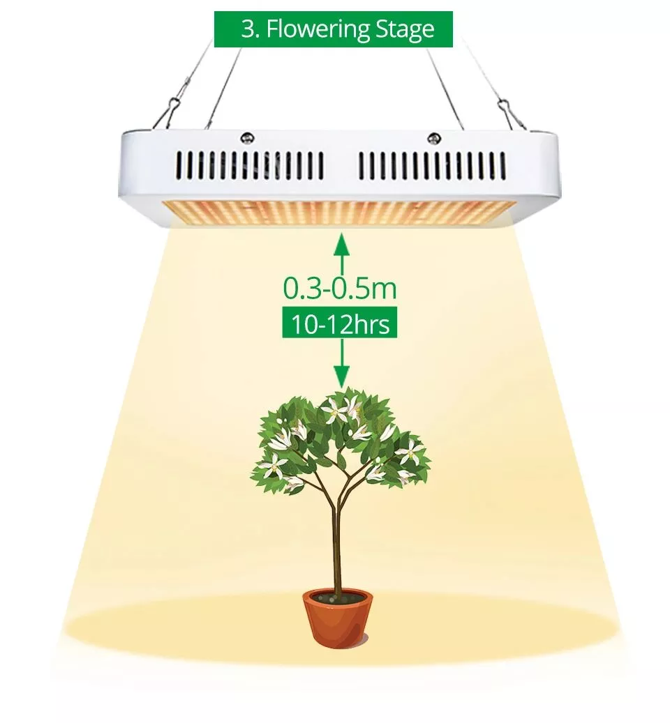 led plant light