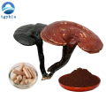 Extracto de ganoderma polisacárido ganoderma lucidum polvo