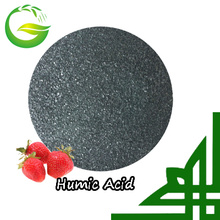 90% Water Soluble Organic Humic Acid