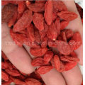 Níspero secado Ningxia Rojo orgánico Wolf Berry
