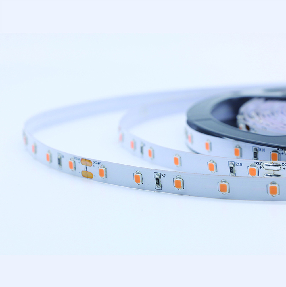 2835SMD 300led flex light