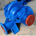 S type double suction pump