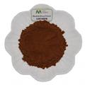 Herbal Extract Water Soluble Rhodiola Rosea Extract Powder