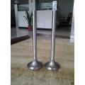 Intake&Exhaust Valve for Train with 4Cr9Si2