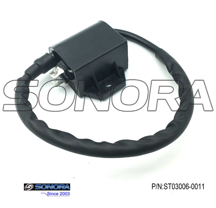 Suzuki AN125 Ignition Coil Replacement