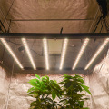 Good Full Spectrum LED Grow Lights