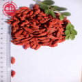 Medicinal Certified healthy Low pesticide Goji Berries