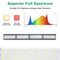 Linear led grow light bars full spectrum