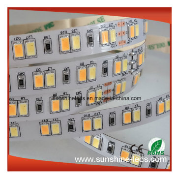 2016 Hot-Selling SMD5630 Dual Color CCT einstellbare LED-Streifen