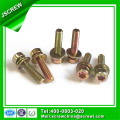 Torx Socket Head Cap Screw with Washer, Sems Screw