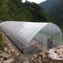 Economica Sheet Plastic Single Tunnel Greenhouse