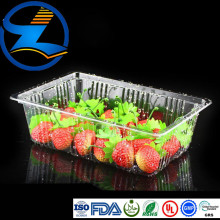 Rigid PLA Plastic Food Container