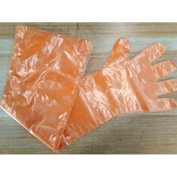 Gants vétérinaires jetables à bras long 100pcs / box