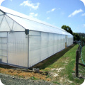 Single Span Plastic Film Greenhouse For Plant