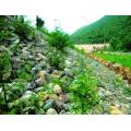 ПВХ -покрытый горячий оцинкованный Gabion Wire Coxe