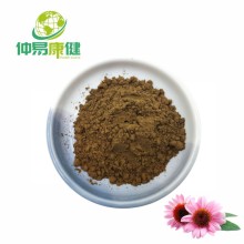 Echinacea Purpurea Extract