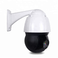 CCTV 20X Speed dome 2.0MP IP PTZ Camera