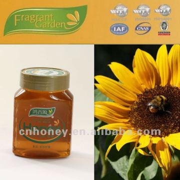 Miel natural pura del girasol para la venta