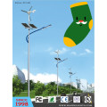 Luz de calle solar del LED con generador de viento (BDTYN5)
