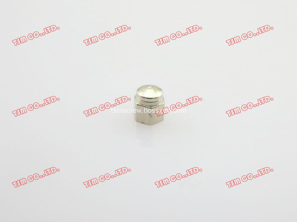 TSM silver Hex Cap Nut-3