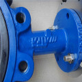 Lug Type Butterfly Valve