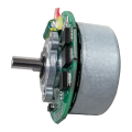 60V Brushless DC Motor, Outrunner Brushless DC Motor & Blender Motor Brushless Customizable