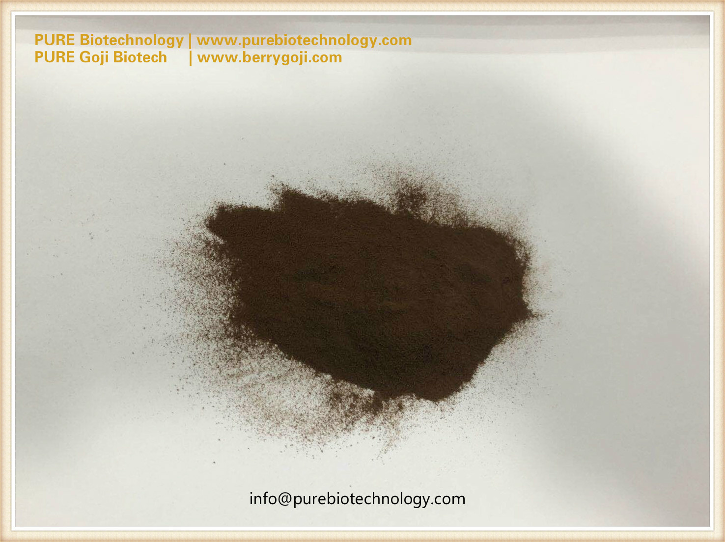 black tea extract powder