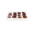 False Nails Blister Insert Plateau Pack Avec Couvercle