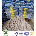 Small Packing 1lbs Mesh Bag Normal White Garlic