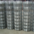 Cheap Galvanized Field Fence 50m