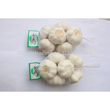 2014 Jinxiang Harvest White Color Garlic from China