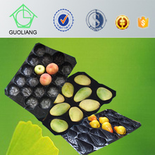 29X39cm, 29X49cm, 39X59cm Walmart Alveolar Hexagon Fruit Tray, mercado de Europa, estándar de importación