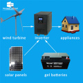 DELIGHT DE-AINF Pure Sine Wave Wind Solar Inverter