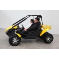 250cc 4x2 adult quad go karts dune buggy