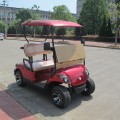 battery or gas powered two seater golf car